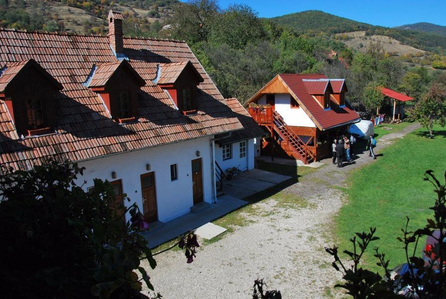 Tóbiás hazatér… Tóbiás hazatér…